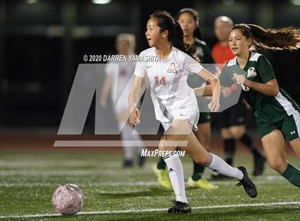 Thumbnail 1 in Albany @ El Cerrito (CIF NCS D3 First Round) photogallery.