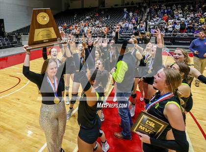 Thumbnail 2 in Blum vs. Harrold (UIL 1A Volleyball Final) photogallery.
