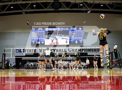 Thumbnail 3 in Blum vs. Harrold (UIL 1A Volleyball Final) photogallery.