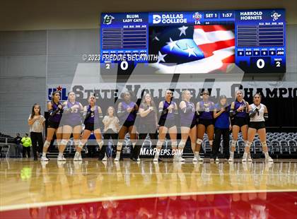 Thumbnail 2 in Blum vs. Harrold (UIL 1A Volleyball Final) photogallery.