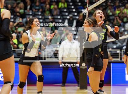Thumbnail 1 in Blum vs. Harrold (UIL 1A Volleyball Final) photogallery.
