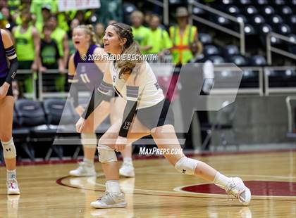 Thumbnail 2 in Blum vs. Harrold (UIL 1A Volleyball Final) photogallery.