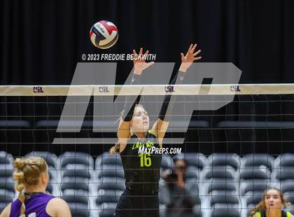 Thumbnail 1 in Blum vs. Harrold (UIL 1A Volleyball Final) photogallery.