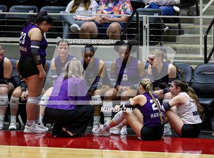 Thumbnail 1 in Blum vs. Harrold (UIL 1A Volleyball Final) photogallery.