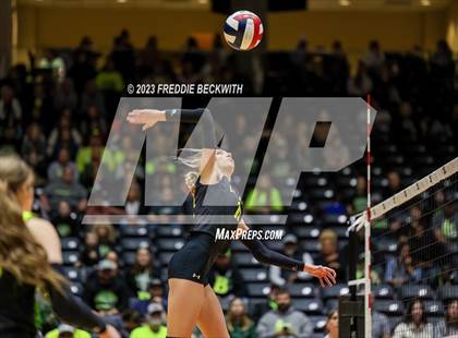 Thumbnail 3 in Blum vs. Harrold (UIL 1A Volleyball Final) photogallery.