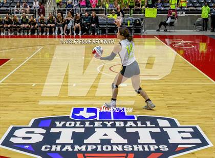Thumbnail 2 in Blum vs. Harrold (UIL 1A Volleyball Final) photogallery.