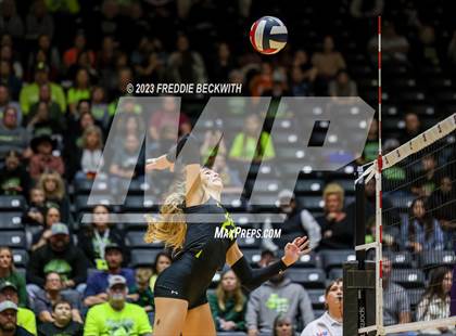 Thumbnail 1 in Blum vs. Harrold (UIL 1A Volleyball Final) photogallery.