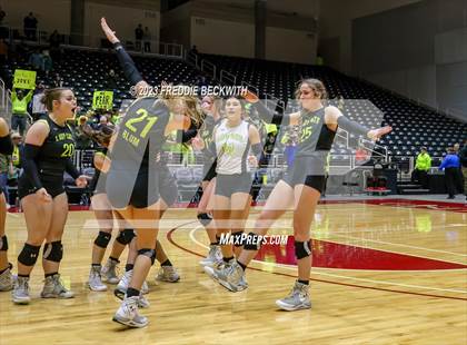 Thumbnail 1 in Blum vs. Harrold (UIL 1A Volleyball Final) photogallery.