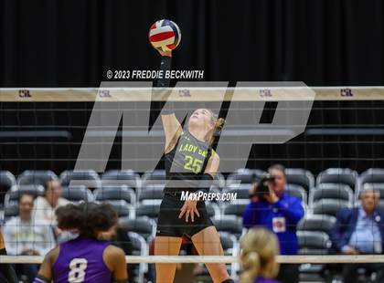 Thumbnail 3 in Blum vs. Harrold (UIL 1A Volleyball Final) photogallery.