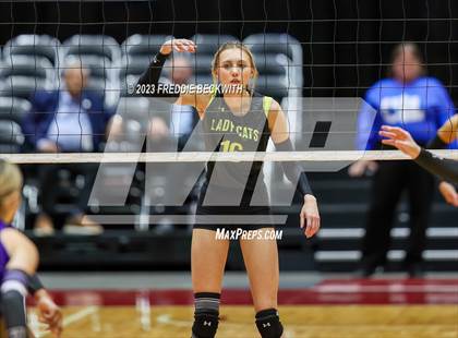 Thumbnail 3 in Blum vs. Harrold (UIL 1A Volleyball Final) photogallery.