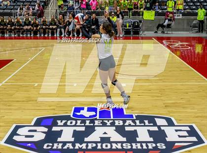 Thumbnail 3 in Blum vs. Harrold (UIL 1A Volleyball Final) photogallery.