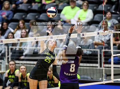 Thumbnail 3 in Blum vs. Harrold (UIL 1A Volleyball Final) photogallery.