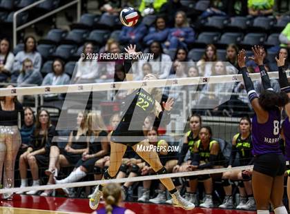 Thumbnail 3 in Blum vs. Harrold (UIL 1A Volleyball Final) photogallery.