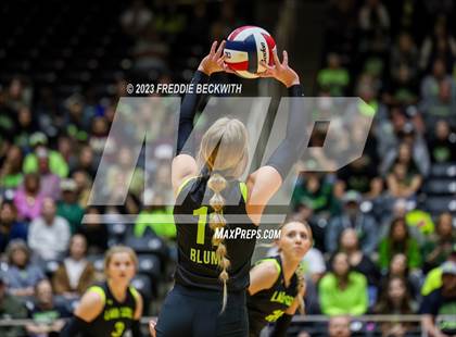 Thumbnail 3 in Blum vs. Harrold (UIL 1A Volleyball Final) photogallery.