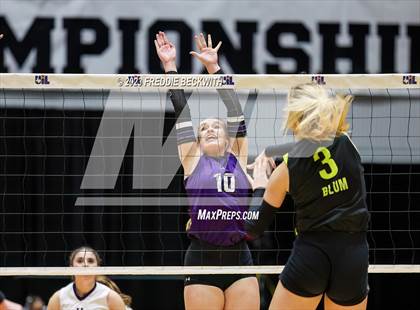 Thumbnail 2 in Blum vs. Harrold (UIL 1A Volleyball Final) photogallery.