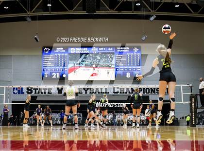 Thumbnail 1 in Blum vs. Harrold (UIL 1A Volleyball Final) photogallery.