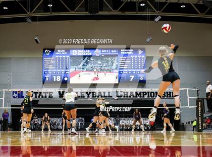 Thumbnail 3 in Blum vs. Harrold (UIL 1A Volleyball Final) photogallery.