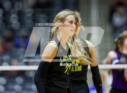 Thumbnail 1 in Blum vs. Harrold (UIL 1A Volleyball Final) photogallery.