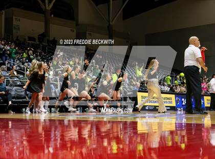 Thumbnail 2 in Blum vs. Harrold (UIL 1A Volleyball Final) photogallery.