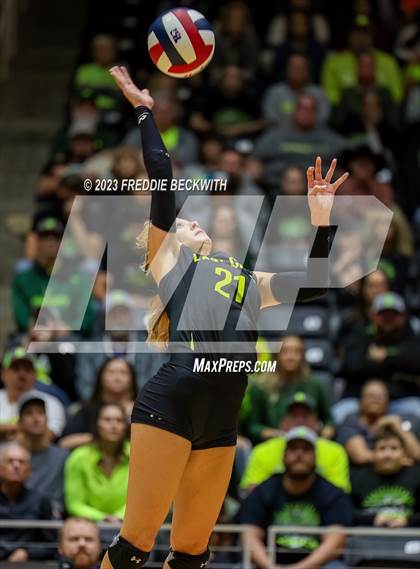 Thumbnail 1 in Blum vs. Harrold (UIL 1A Volleyball Final) photogallery.