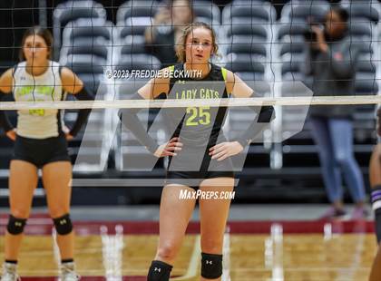 Thumbnail 2 in Blum vs. Harrold (UIL 1A Volleyball Final) photogallery.