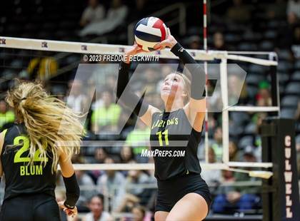Thumbnail 1 in Blum vs. Harrold (UIL 1A Volleyball Final) photogallery.