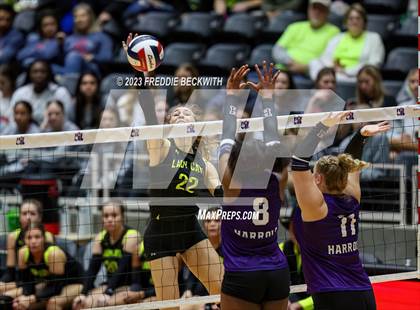 Thumbnail 3 in Blum vs. Harrold (UIL 1A Volleyball Final) photogallery.