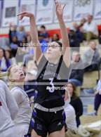 Photo from the gallery "Page @ Nolensville"