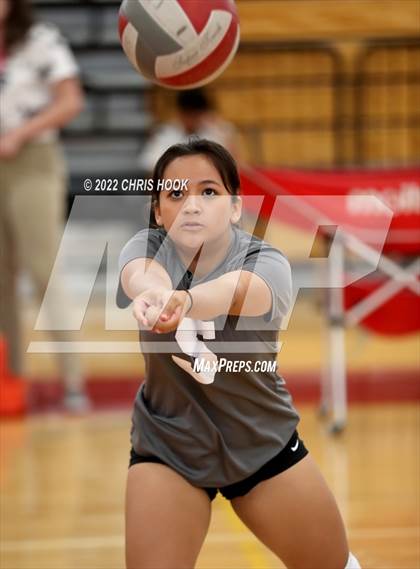 Thumbnail 1 in Cholla @ Tucson High Magnet School photogallery.