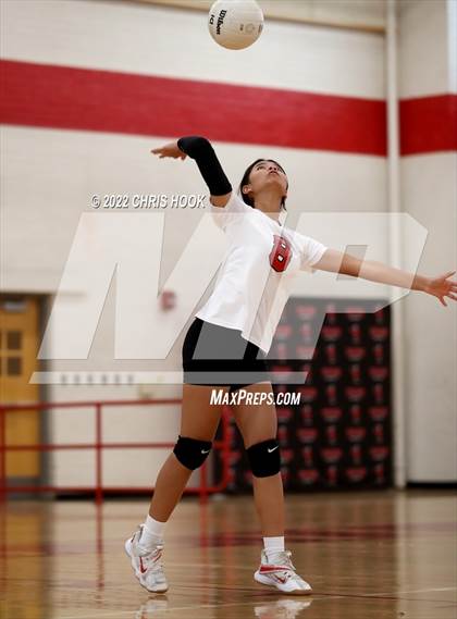 Thumbnail 1 in Cholla @ Tucson High Magnet School photogallery.