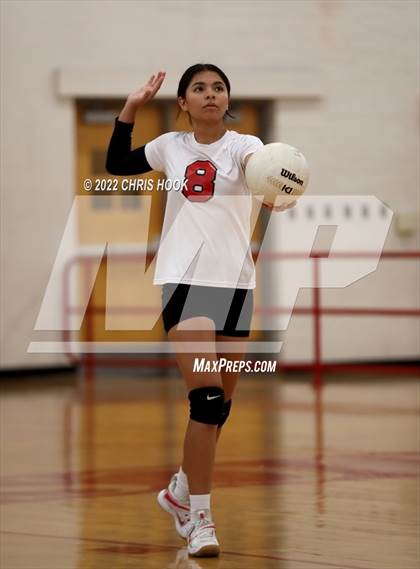 Thumbnail 3 in Cholla @ Tucson High Magnet School photogallery.