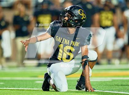 Thumbnail 3 in Madison @ Galena Park photogallery.