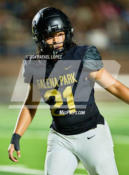 Thumbnail 3 in Madison @ Galena Park photogallery.