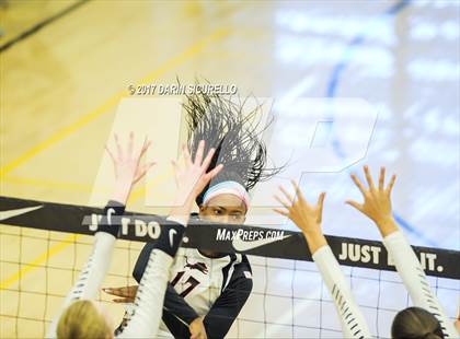 Thumbnail 3 in Hamilton vs. Leon (Nike Tournament of Champions) photogallery.