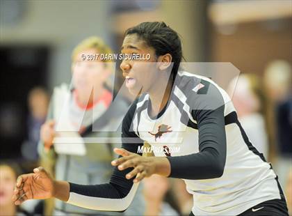 Thumbnail 1 in Hamilton vs. Leon (Nike Tournament of Champions) photogallery.