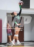 Photo from the gallery "Paradise @ Poolville"