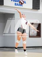 Photo from the gallery "Paradise @ Poolville"