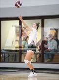 Photo from the gallery "Paradise @ Poolville"