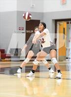 Photo from the gallery "Paradise @ Poolville"