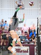 Photo from the gallery "Paradise @ Poolville"