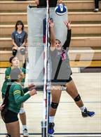 Photo from the gallery "Kearns @ Hunter"