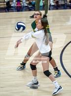 Photo from the gallery "Kearns @ Hunter"