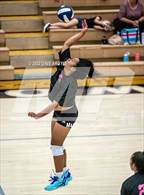 Photo from the gallery "Kearns @ Hunter"