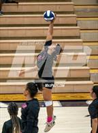 Photo from the gallery "Kearns @ Hunter"