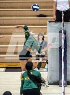 Photo from the gallery "Kearns @ Hunter"