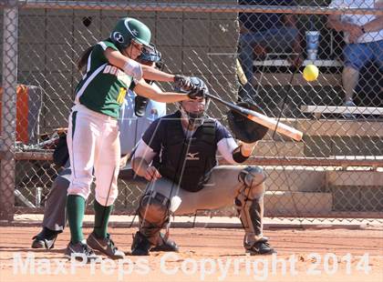 Thumbnail 2 in Sahuaro vs. Canyon del Oro (Desert Mtn Invitational) photogallery.