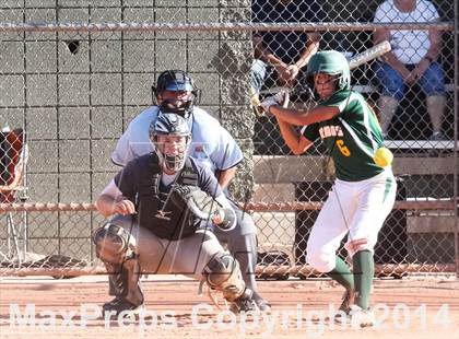 Thumbnail 1 in Sahuaro vs. Canyon del Oro (Desert Mtn Invitational) photogallery.