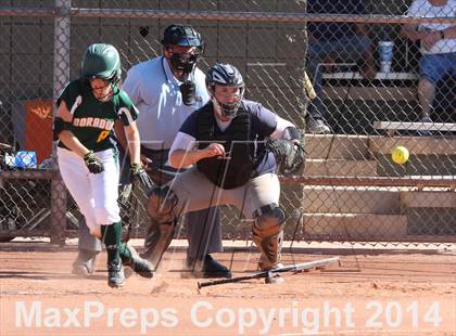 Thumbnail 1 in Sahuaro vs. Canyon del Oro (Desert Mtn Invitational) photogallery.
