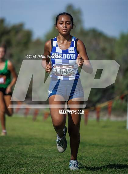 Thumbnail 1 in Larry Burgess Las Vegas Invitational (Varsity Girls B) photogallery.