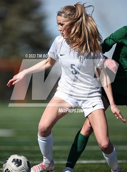 Thumbnail 3 in Ralston Valley @ Mountain Vista photogallery.